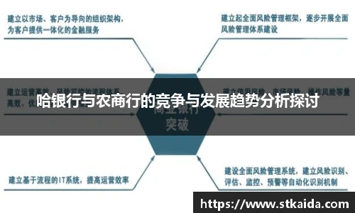 哈银行与农商行的竞争与发展趋势分析探讨